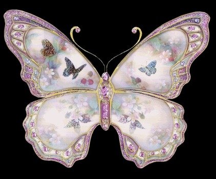 Butterfly Clip Art N81