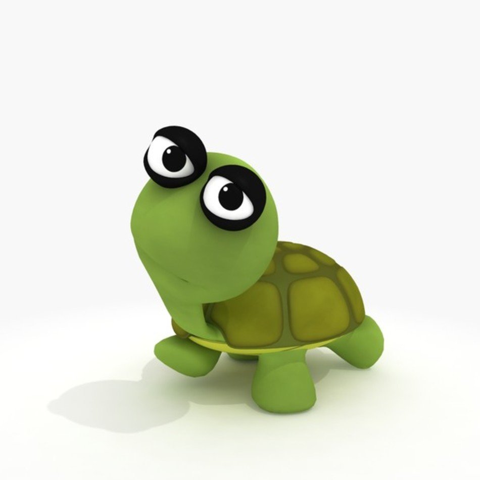 3D Cartoon Turtle