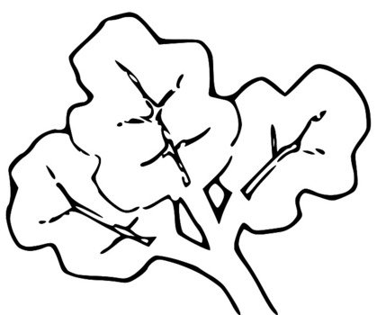 Large Version SVG