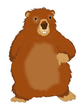 Funny Groundhog Clip Art