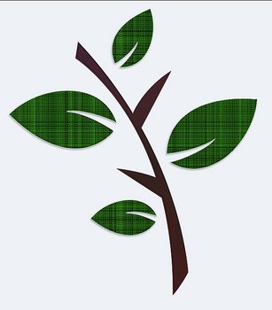 Tree Branch Graphic