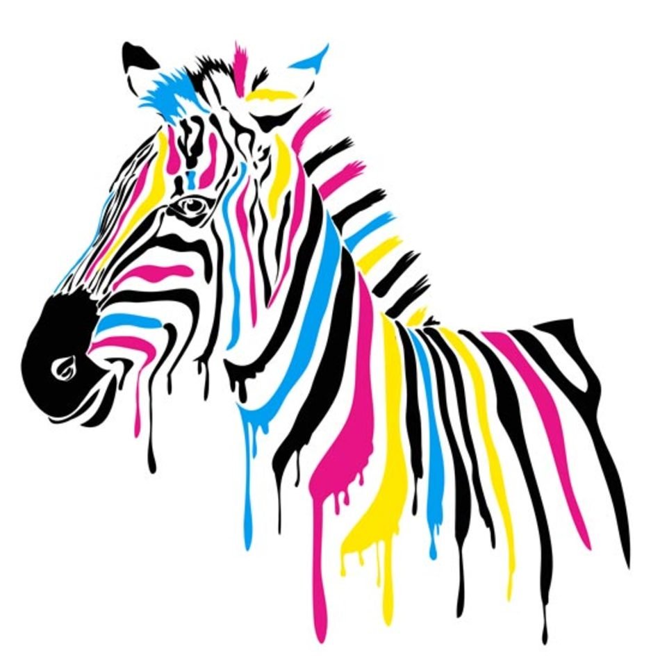 CMYK Zebra