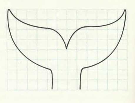 Whale Tail Template