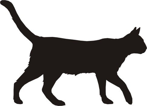 Cat Silhouette N2