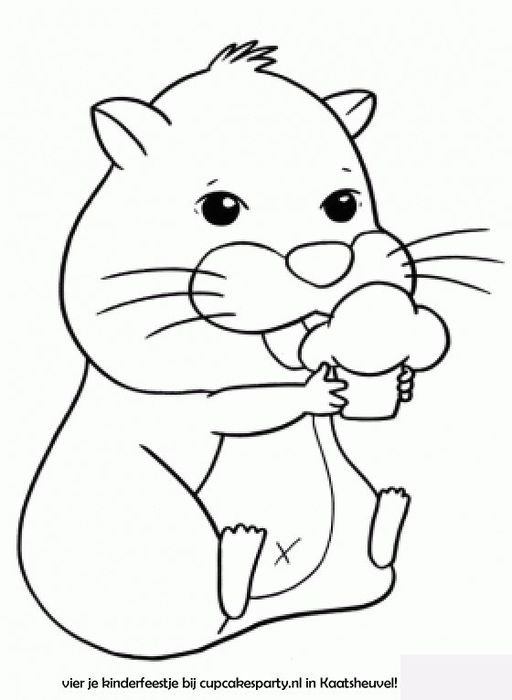 Hamster Coloring Pages N3