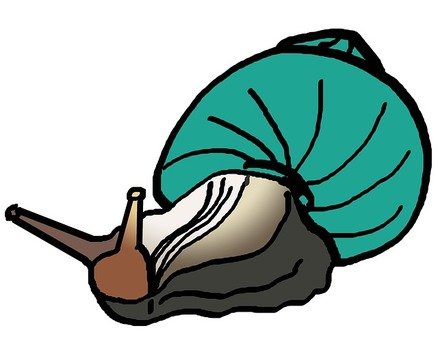 Snail Shell Clip Art N2