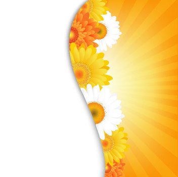 Flower Petal Vector
