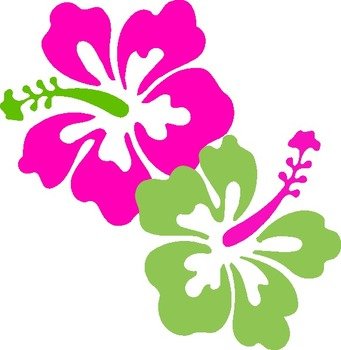 Pink Lime Green Clip