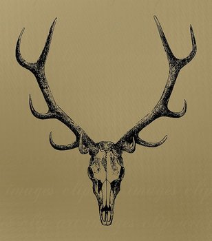 Elk Antler Clip Art Free