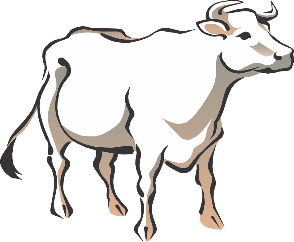 Colorful cow drawing clipart