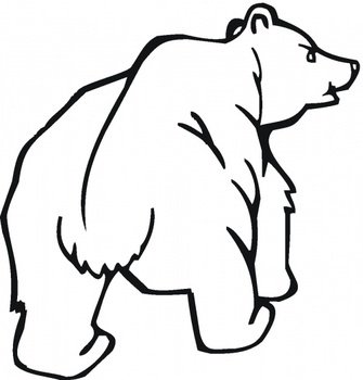 Grizzly Bear Coloring Page Printable N2 free image download