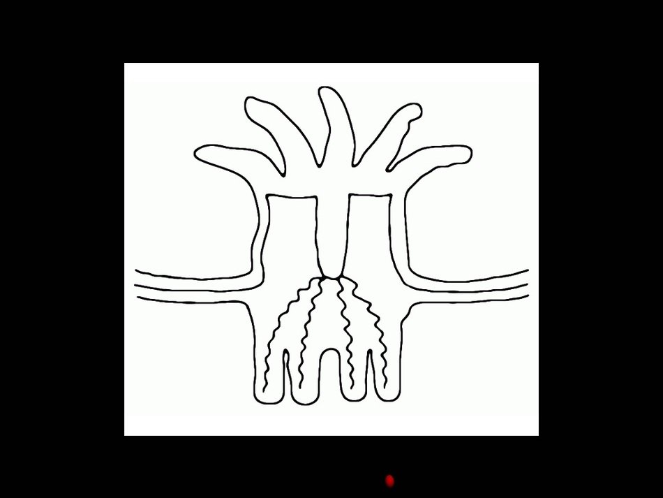 Clip art of coral reef