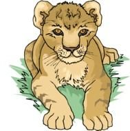 Lion Cub Clip Art N4