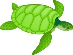 Clip art of green Sea Turtle