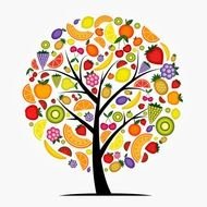 colorful Fruits onTree, drawing
