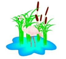 Flamingo Clip Art N10