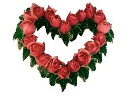 pink roses heart