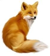 Fox Clip Art N36
