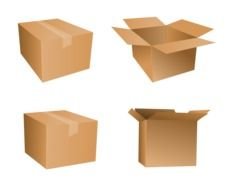 Cardboard Box Vector