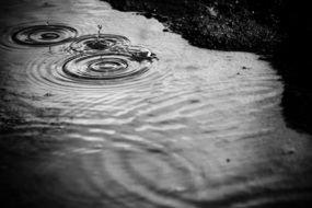 Water Puddle drawing