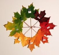 Sugar Maple Tree Clip Art darwing