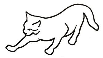 Cat Line Art Drawings