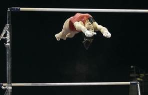 gymnast on the bars as a picture for the clipart