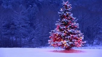 Christmas Tree Snow drawing