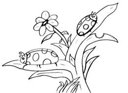 Free Printable Ladybug Coloring Pages drawing