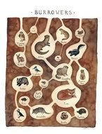 Animal Classification Chart Printable