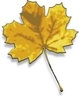 Maple Leaf Clip Art N24
