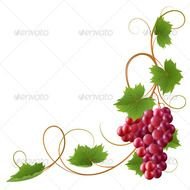 Grape Vine Border Clip Art Free N11