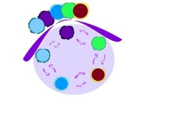 Abstract Circles Clip Art N2