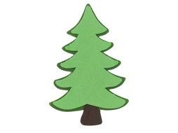 isolated evergreen tree