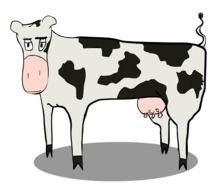 grey big Cow Drawing