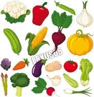 Vegetable Clip Art N43