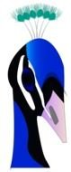 Peacock Clip Art N11