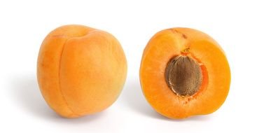 Apricot Fruit orange