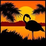 Flamingo Clip Art N13