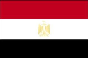 United Arab Flag as illustration