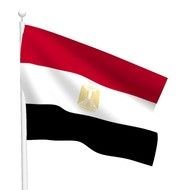 Egypt Flag Eagle drawing