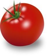 Tomate