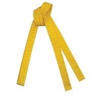 Karate Belts N2
