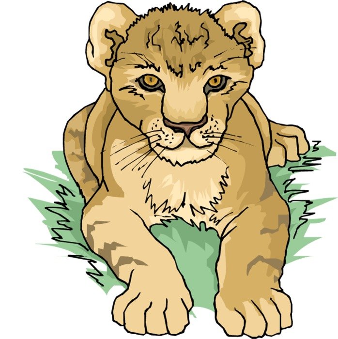 Lion Cub Clip Art N4