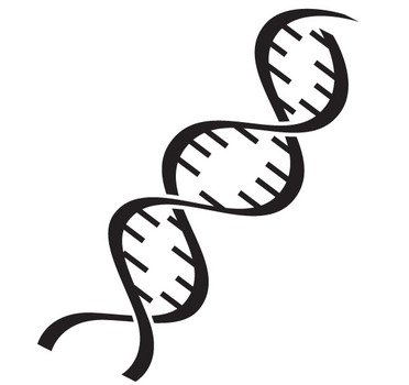 Double Helix Clip Art
