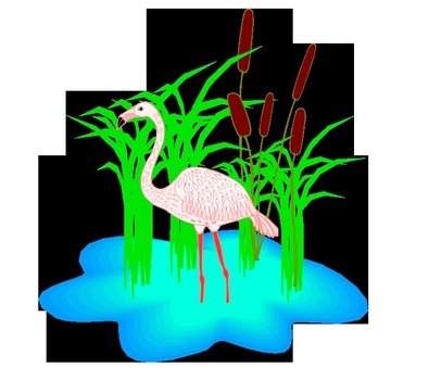 Flamingo Clip Art N10