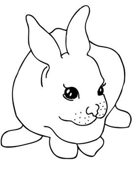 Bunny Rabbit Template