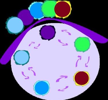 Abstract Circles Clip Art N2