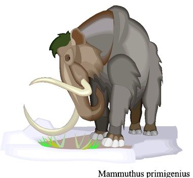 Elephant Clipart N2