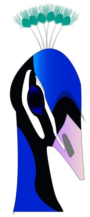 Peacock Clip Art N11